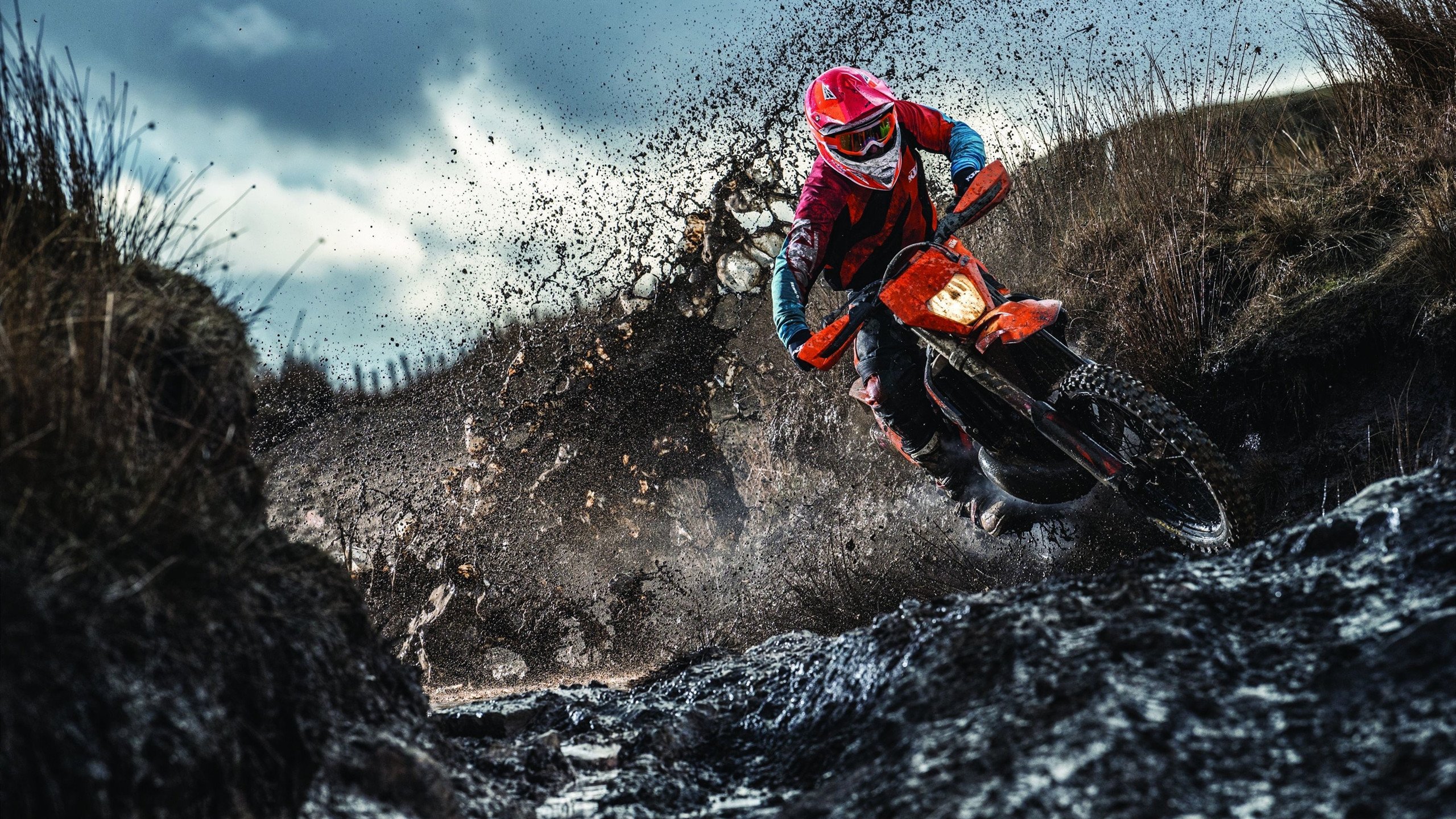 开云在线赛事平台-开拓者封锁奇才,霍勒迪在F1年度争冠接管比赛